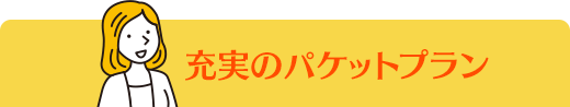 充実のパケットプラン
